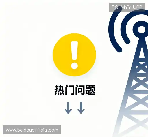 知识库